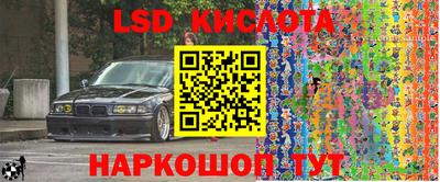 прущие грибы Заволжье