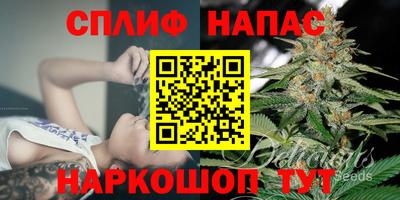 прущие грибы Заволжье