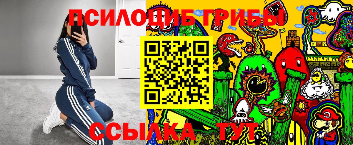 Кисловодск  Галлюциногенные грибы мицелий  Галлюциногенные грибы ЛСД  купить наркотик  Вход с VPN 