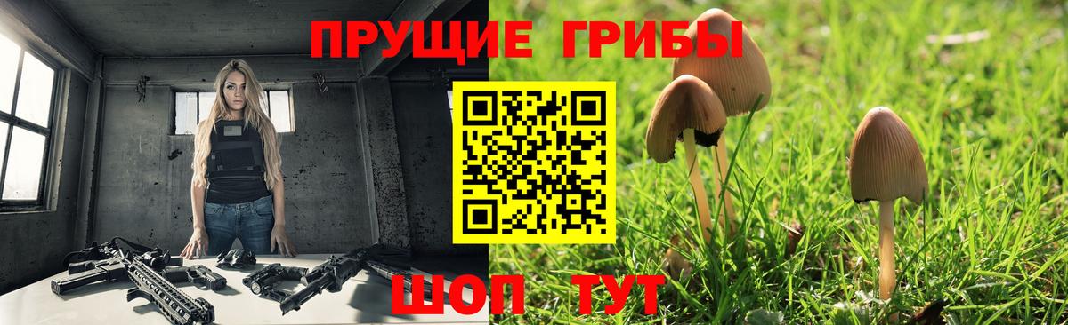 Псилоцибиновые грибы Cubensis Кисловодск